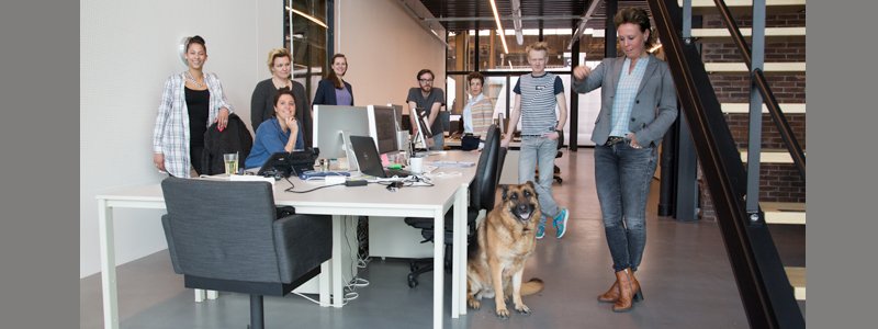 hond Sjaan.jpg